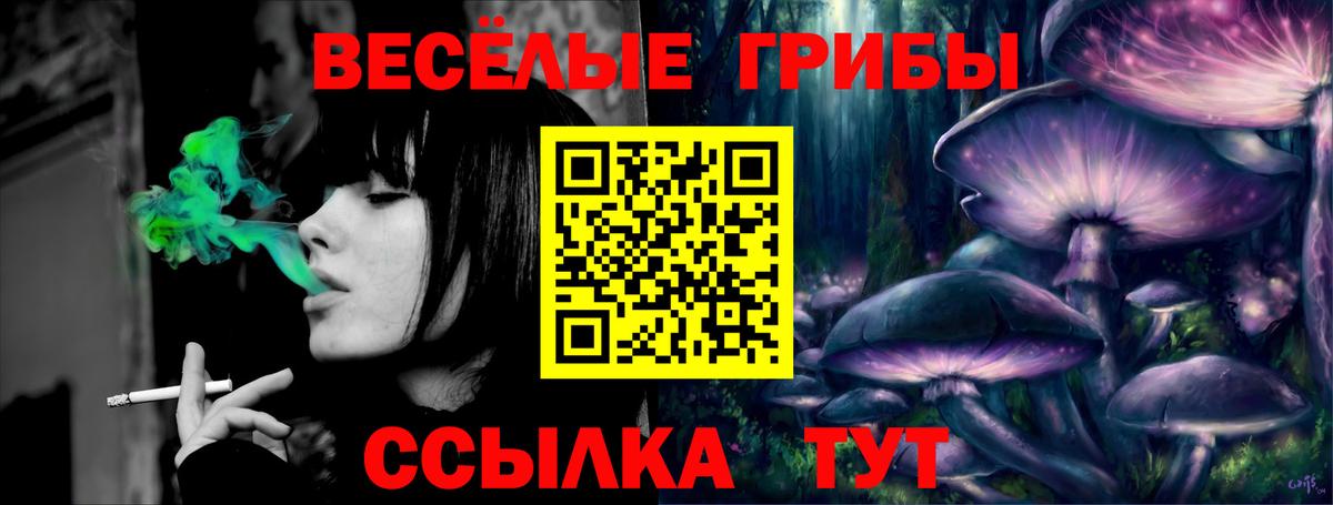 Галлюциногенные грибы Cubensis Добрянка